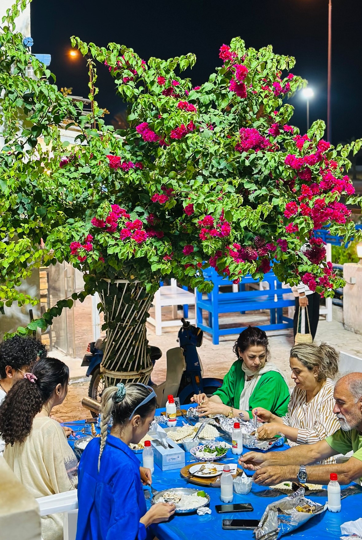 رستوران اربیان تی هاوس قشم