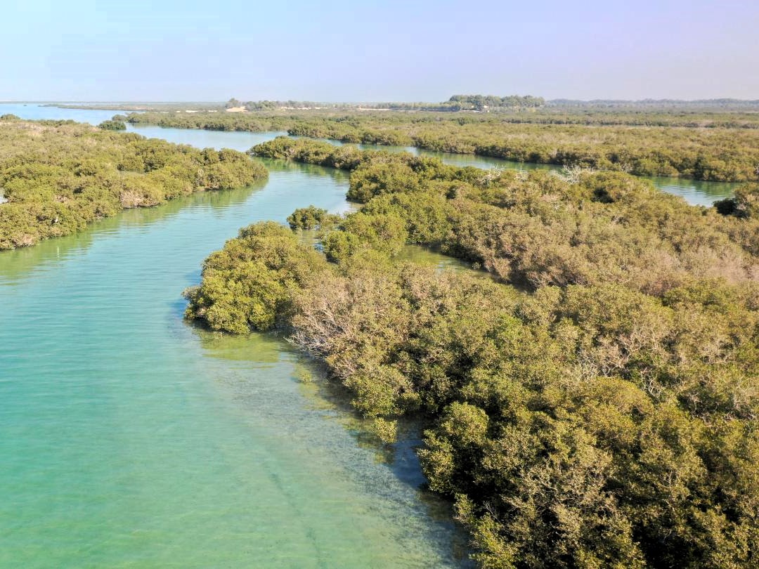 تور یک روزه قشم از بندرعباس