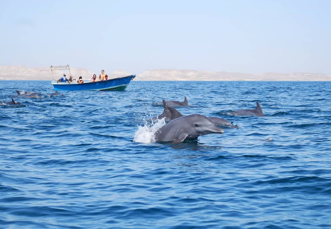 تور یک روزه قشم از بندرعباس