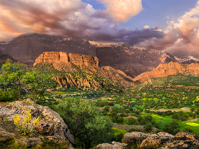 یاسوج