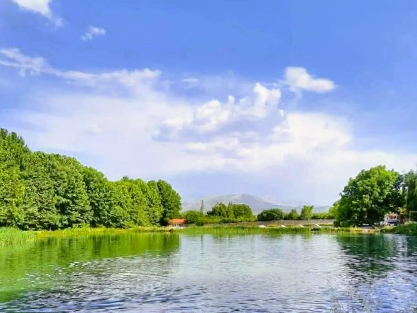 کوهمره سرخی