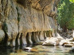 تور تنگ فراشبندی