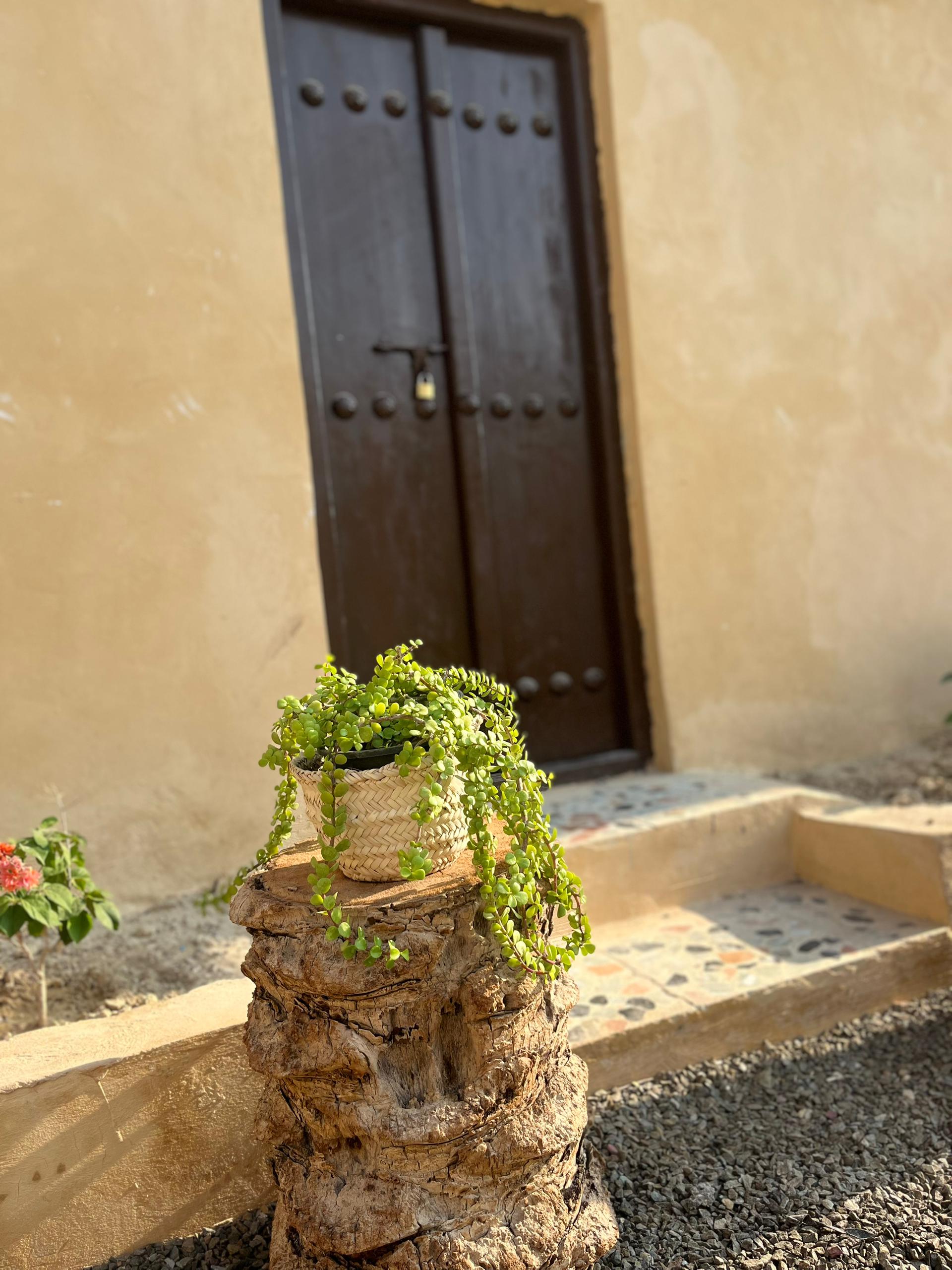 اتاق سوئیت بوم گردی تبن کوشکنار