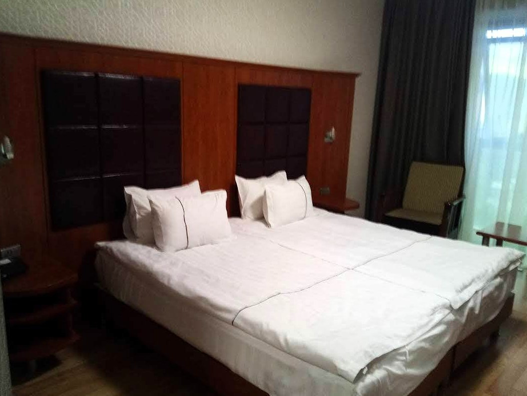 اتاق دو تخته هتل گلدن پلاس تفلیس - Golden palace 4 star