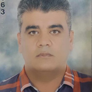 عادل پیل بالا